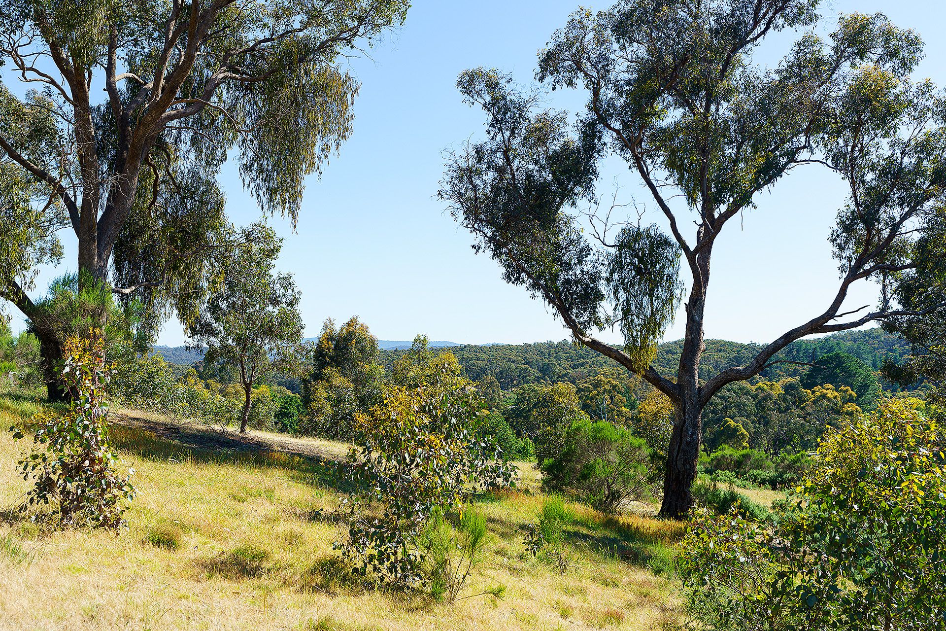 30 Archers Road, Chewton - Thumbnail 3