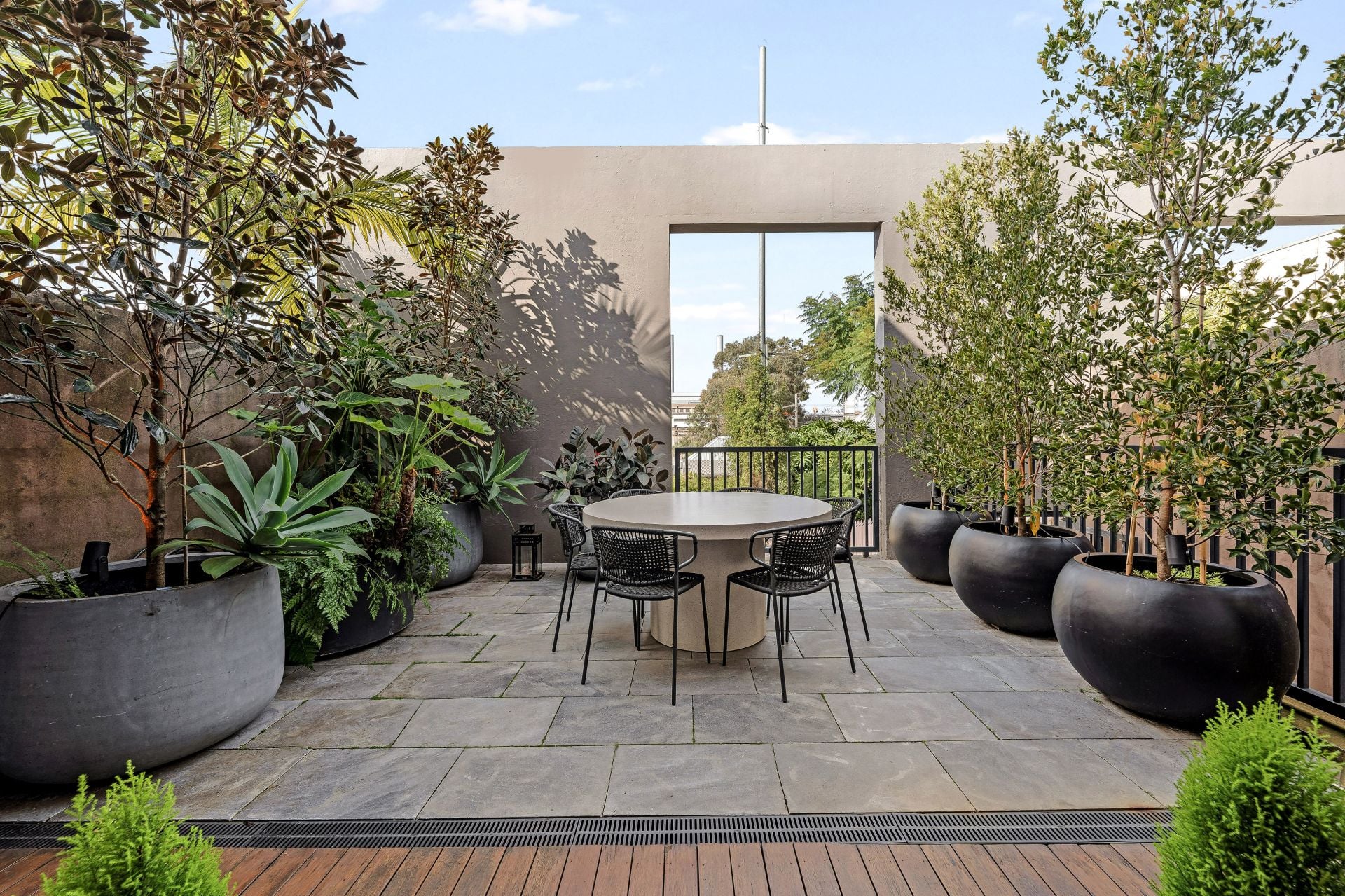3/6 Joseph Street, Rozelle | Morton