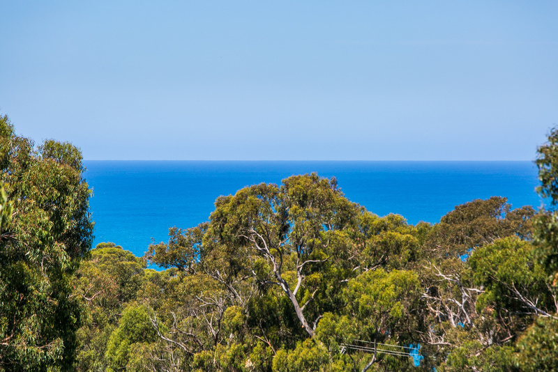 16 Normanby Terrace, Lorne, VIC, Lorne - Thumbnail 2