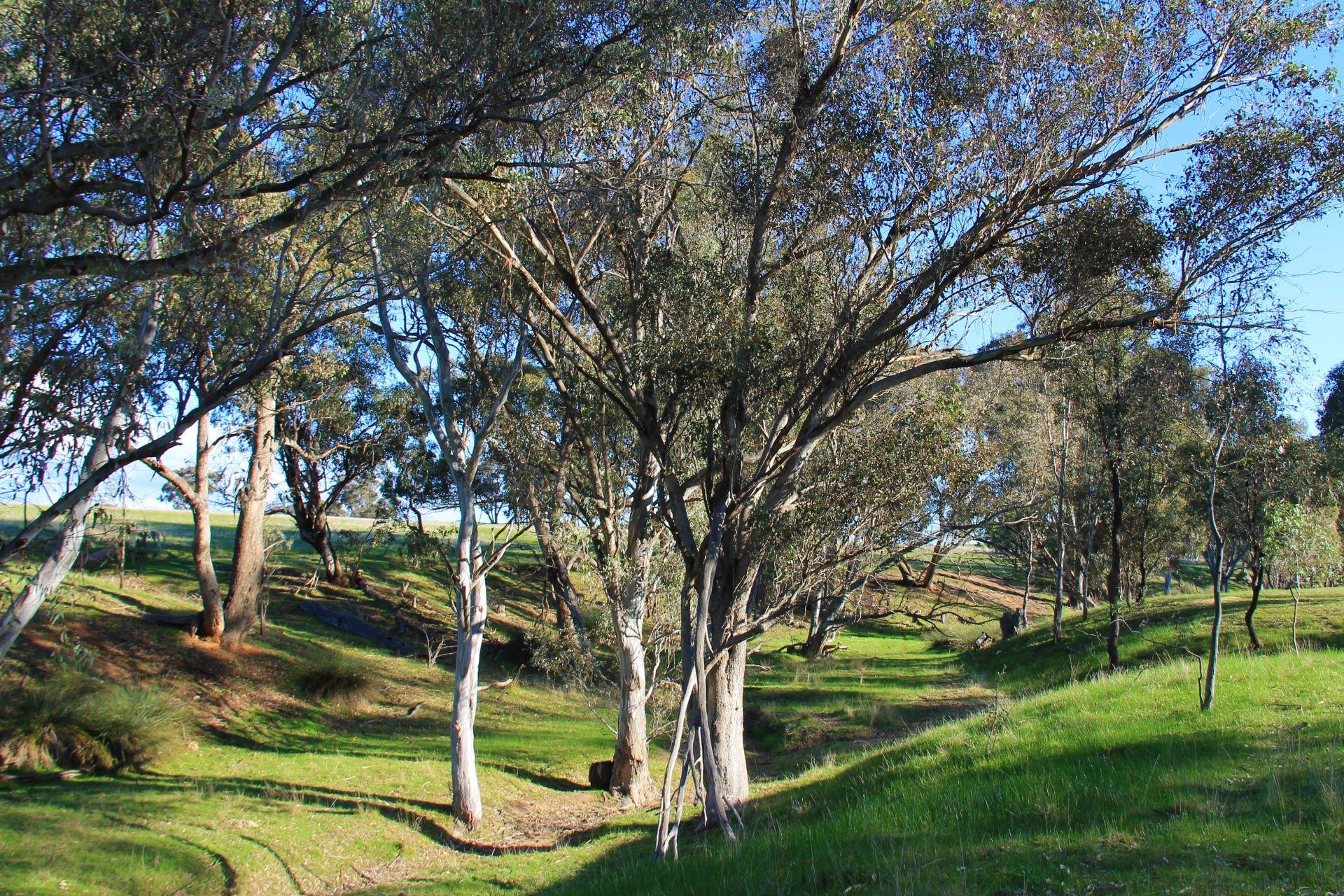 CA 12/Sec 31 BendigoMaldon Road, Lockwood South Bendigo Real Estate