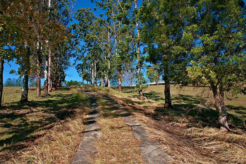 19 Ettrick Road, KYOGLE, NSW, 2474 House buyMyplace