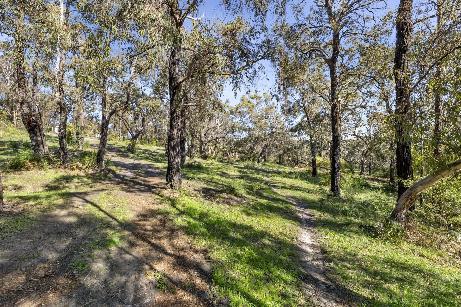 Real Estate For Sale 49 Hopkins Street Aireys Inlet , VIC