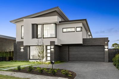 31 Edmonds Ave, Ashwood