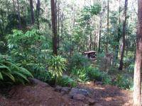 160 Ilkley Road ILKLEY QLD, Ilkley - Thumbnail 6