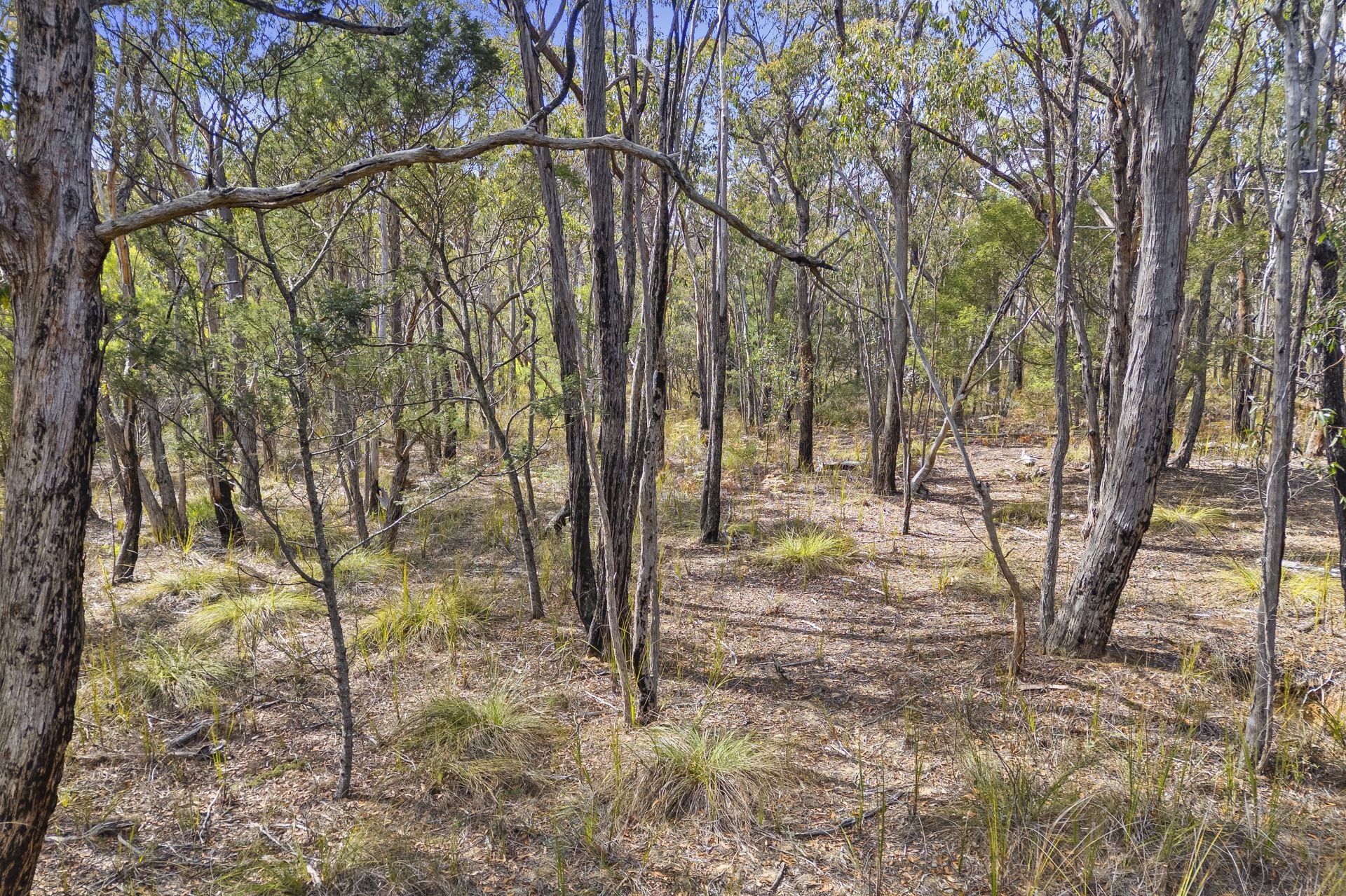 Lot 10, Rozenstein Road - Thumbnail 7