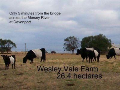 105 Blacks Road, WESLEY VALE, Wesley Vale - Thumbnail 2