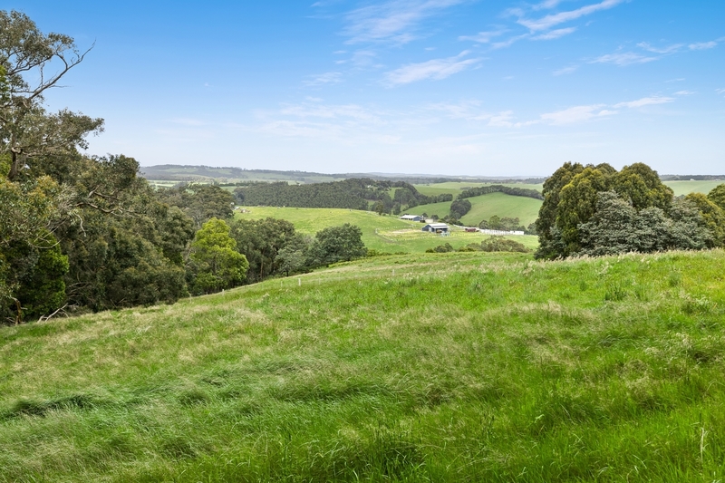 70 Bambra School Road, Bambra, VIC, Bambra - Thumbnail 7