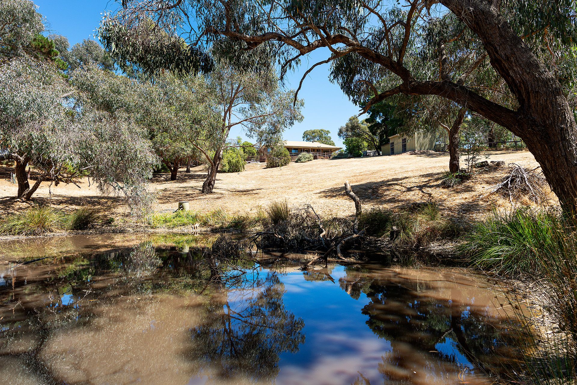14 McKendry Street, Castlemaine Cantwell Property Castlemaine