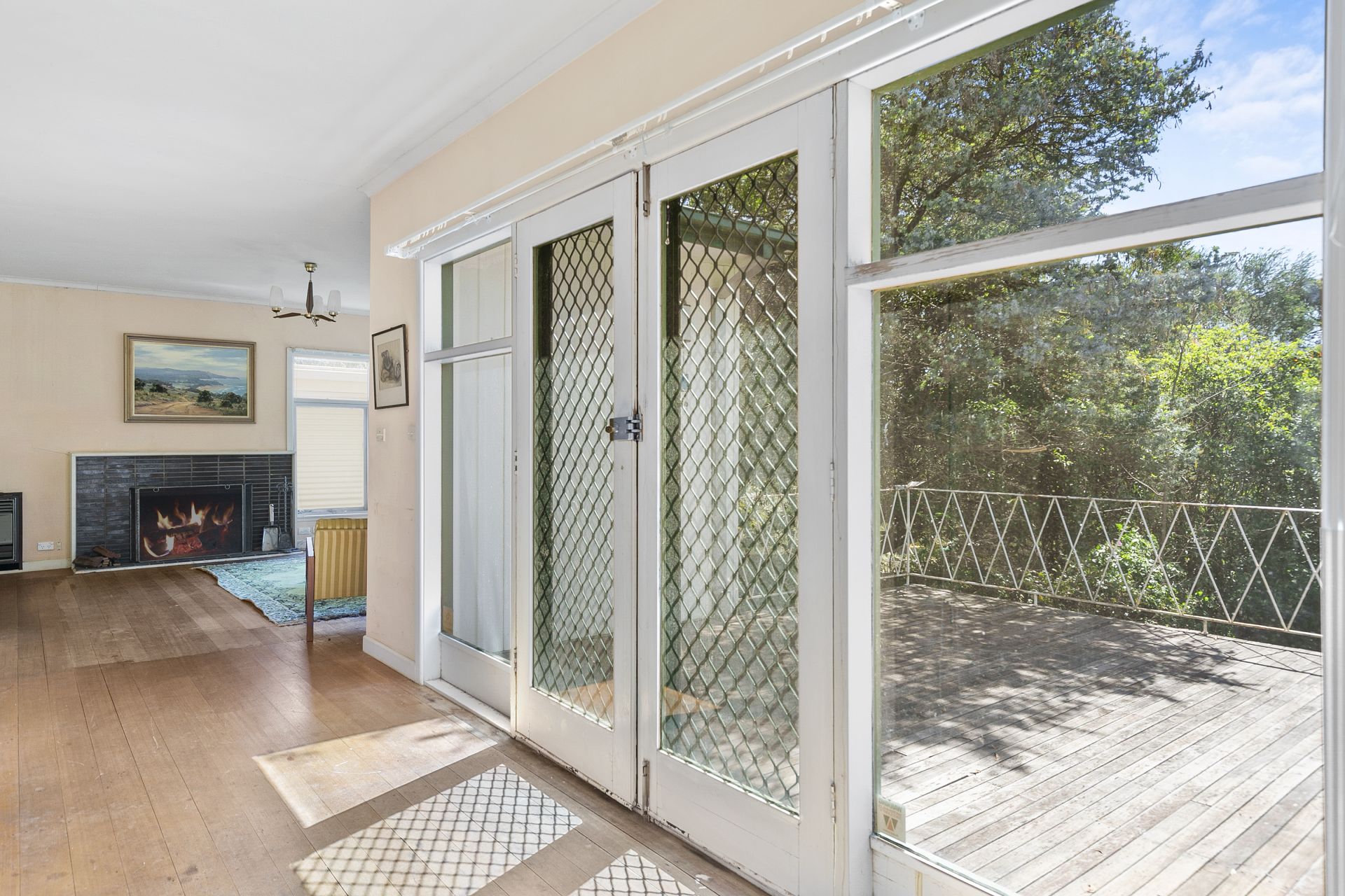 11 Peter Avenue, Anglesea - Thumbnail 6