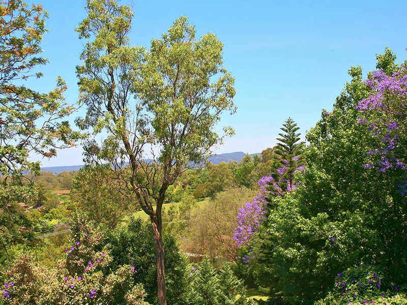 KURRAJONG, NSW, Kurrajong - Thumbnail 6