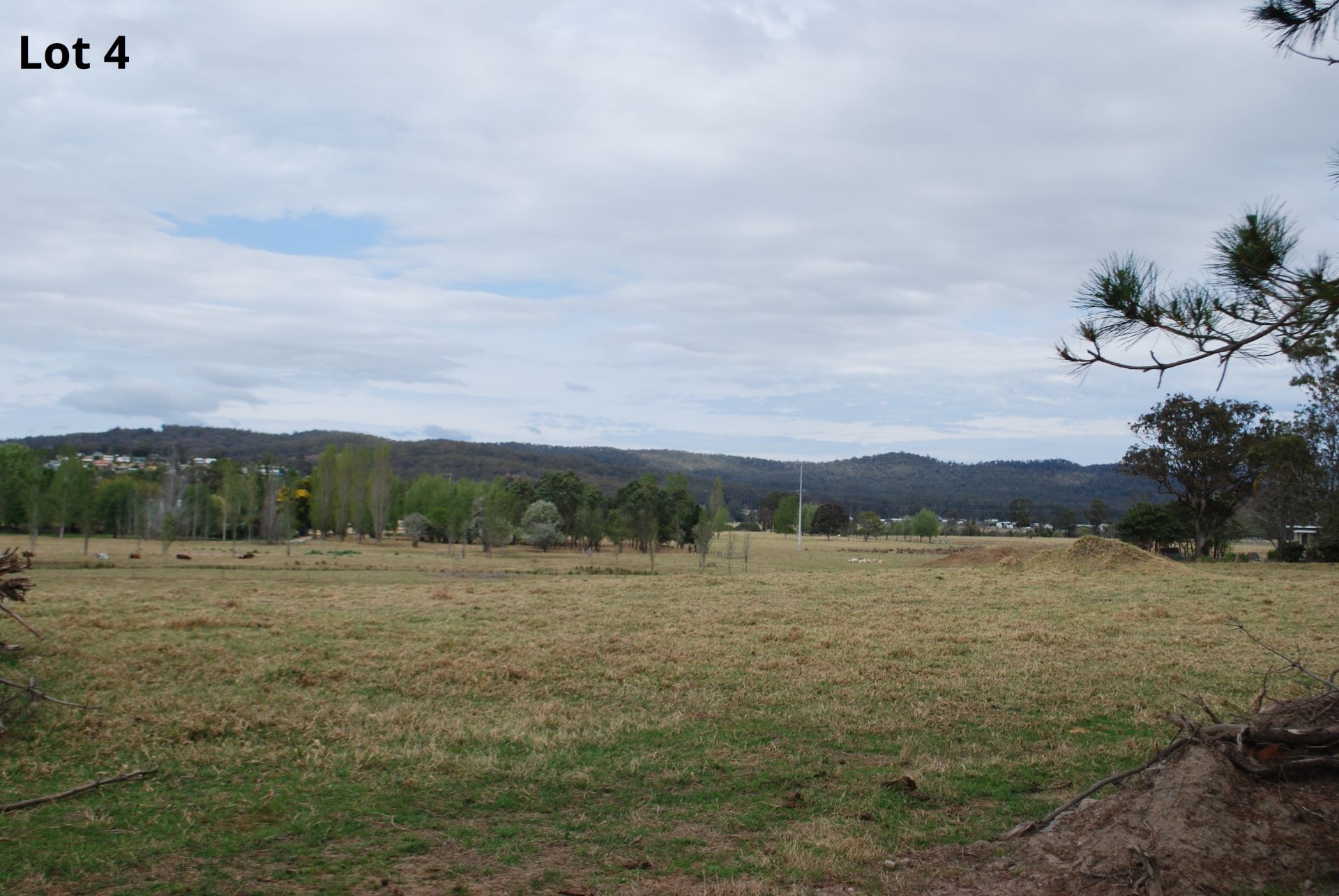 Proposed Lots 1, 3, 4 & 5 Oaklands Road, Pambula