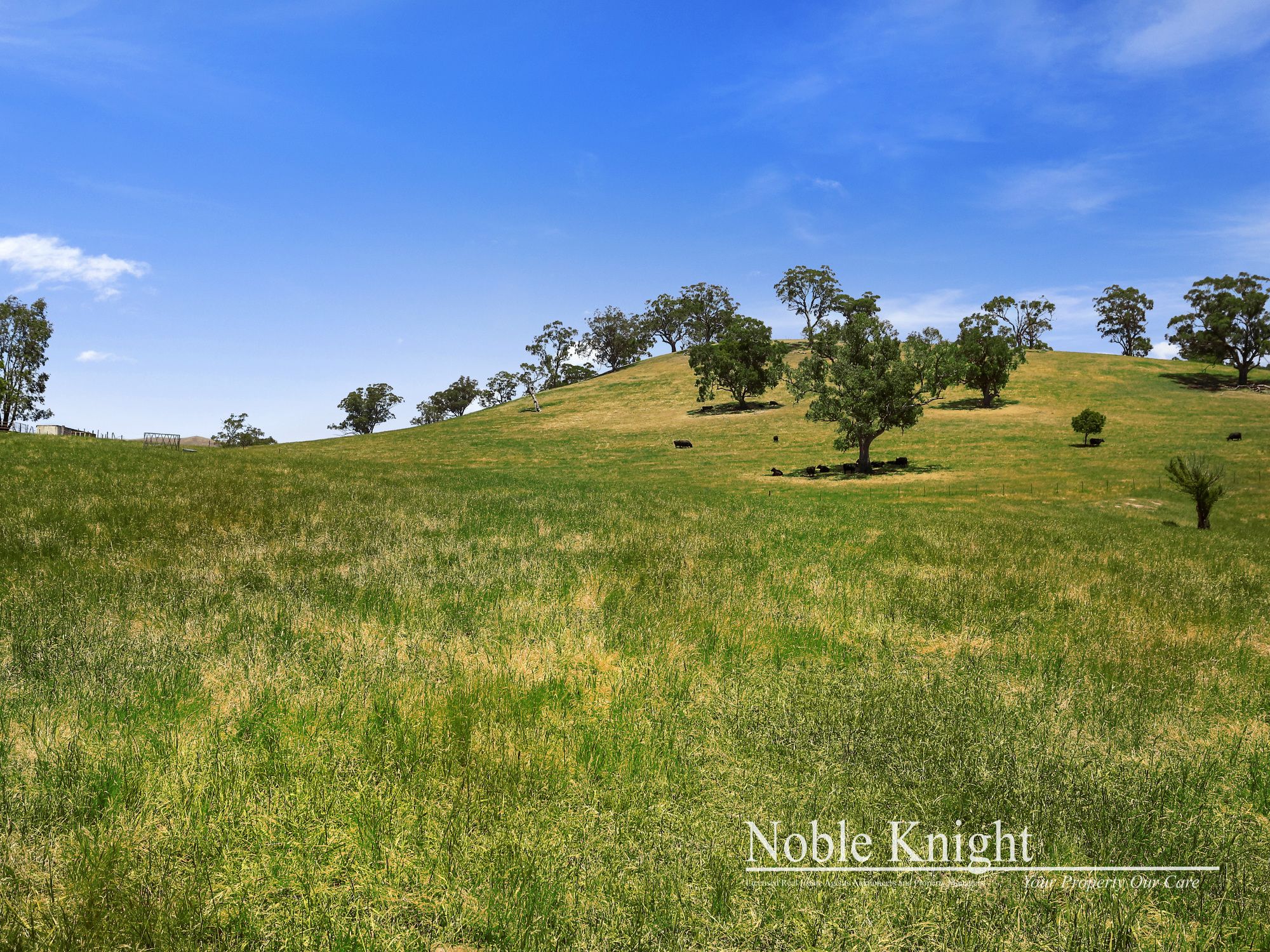 145 Racecourse Road Yea