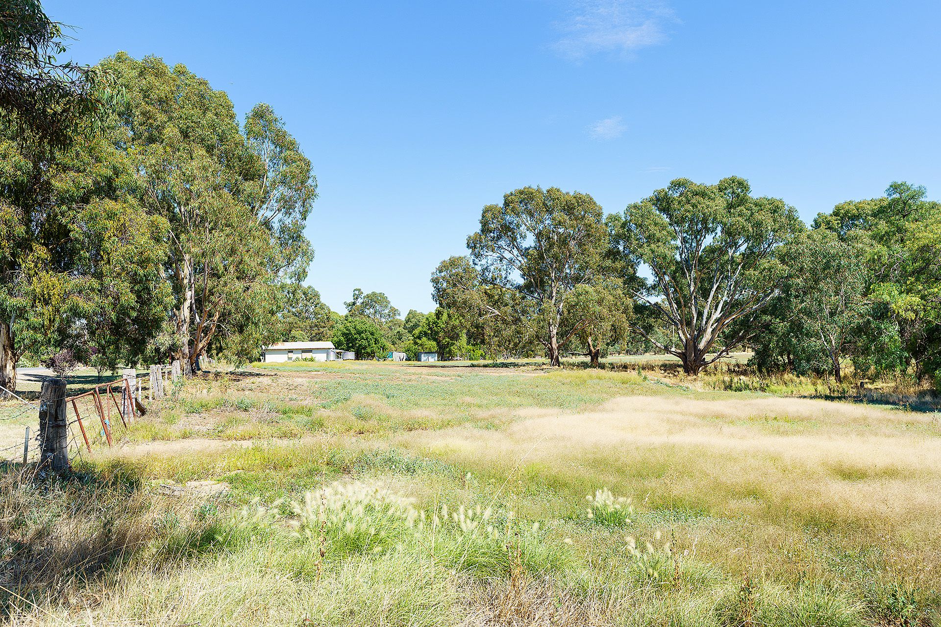 20 Ross Drive, Castlemaine - Thumbnail 5