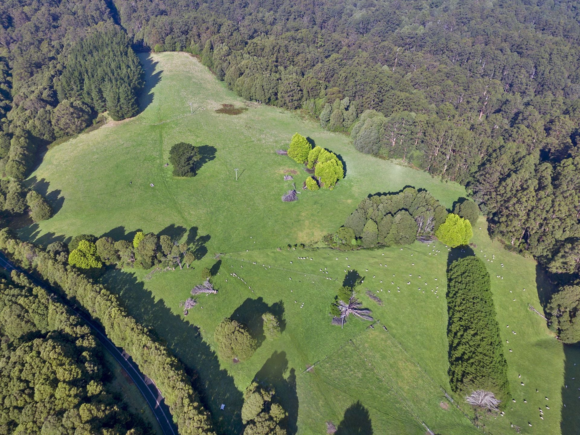 1215 Skenes Creek Road, Apollo Bay - Thumbnail 2