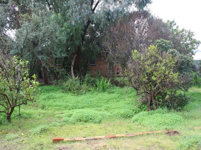 24 Thomas Street Salisbury 5108