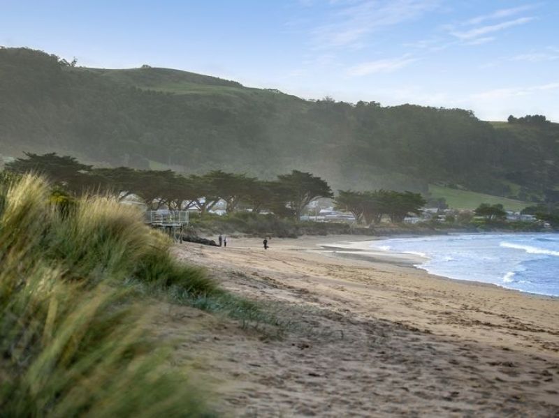 38 Seaview Drive, Apollo Bay, VIC, Apollo Bay - Thumbnail 5