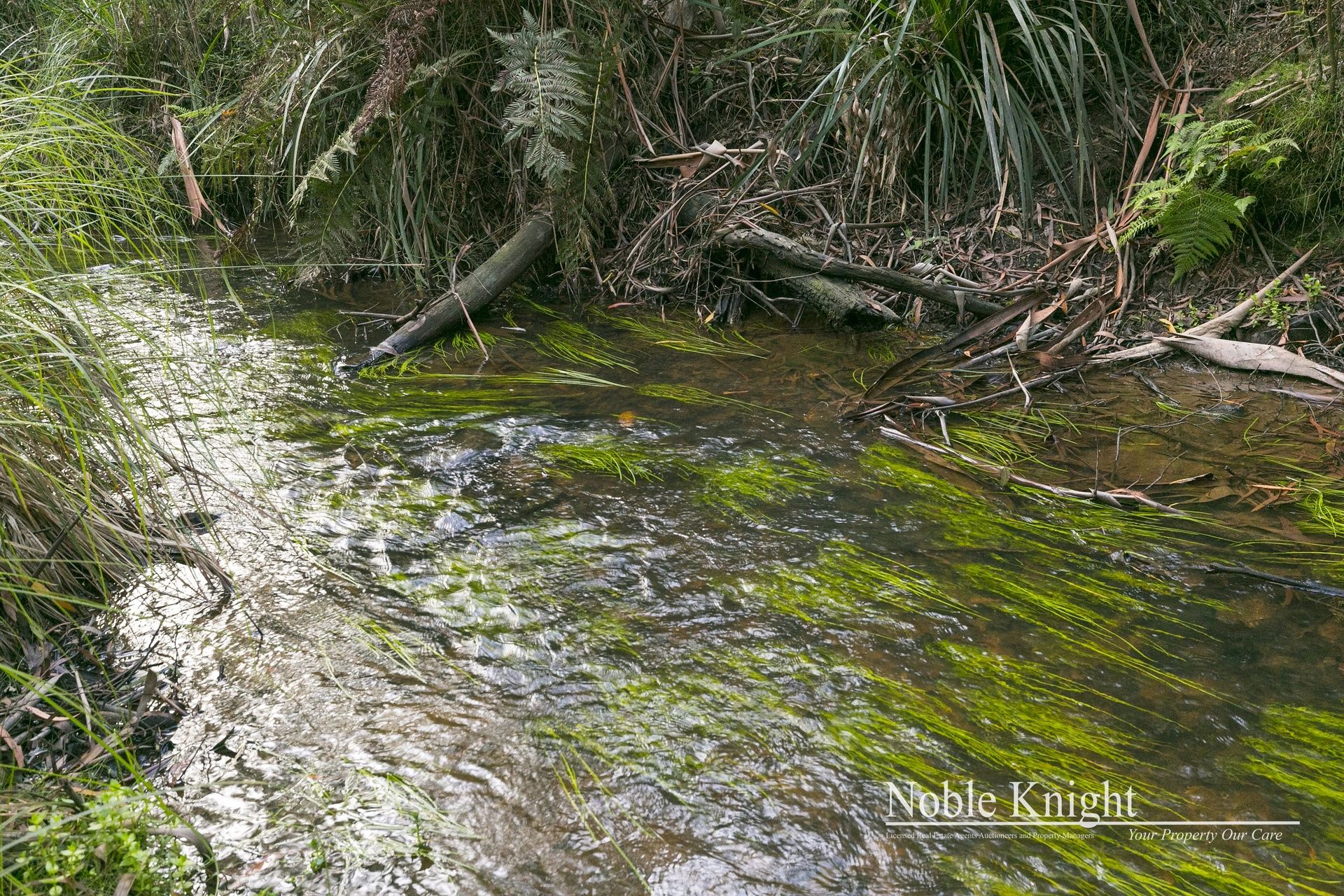 549 Gordons Bridge Road Kinglake