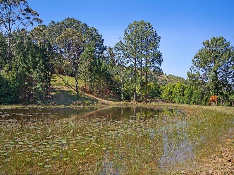 18 Carool Road BILAMBIL NSW, Bilambil - Thumbnail 6