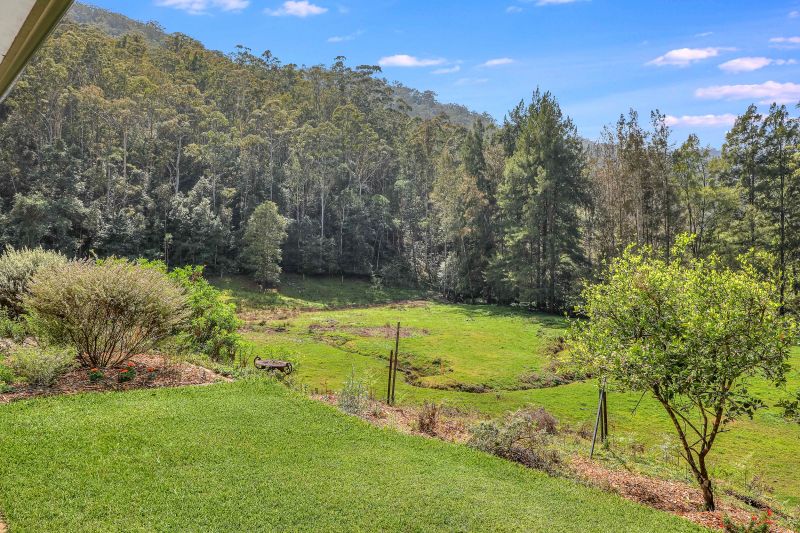 Real Estate For Sale 343 Bunning Creek Road Yarramalong , NSW