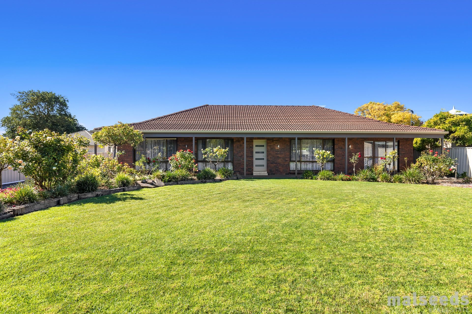 56 Williams Road, Millicent Malseeds Real Estate