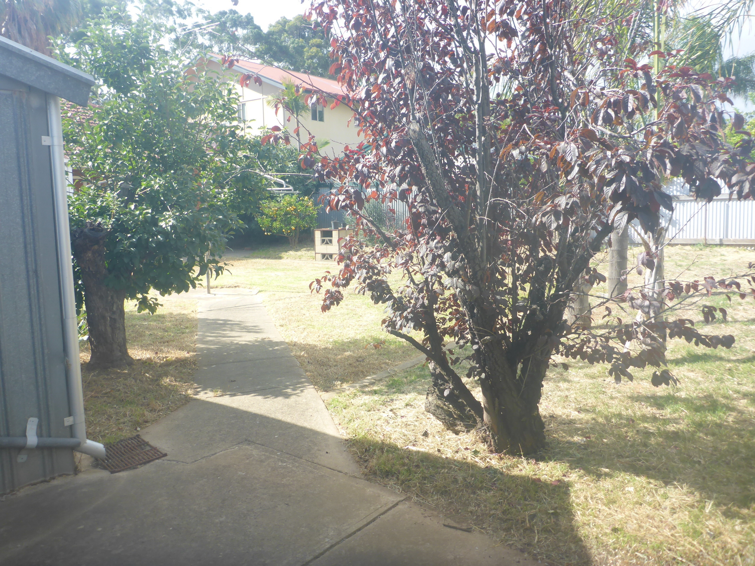 18  Ewell Ave Warradale 5046