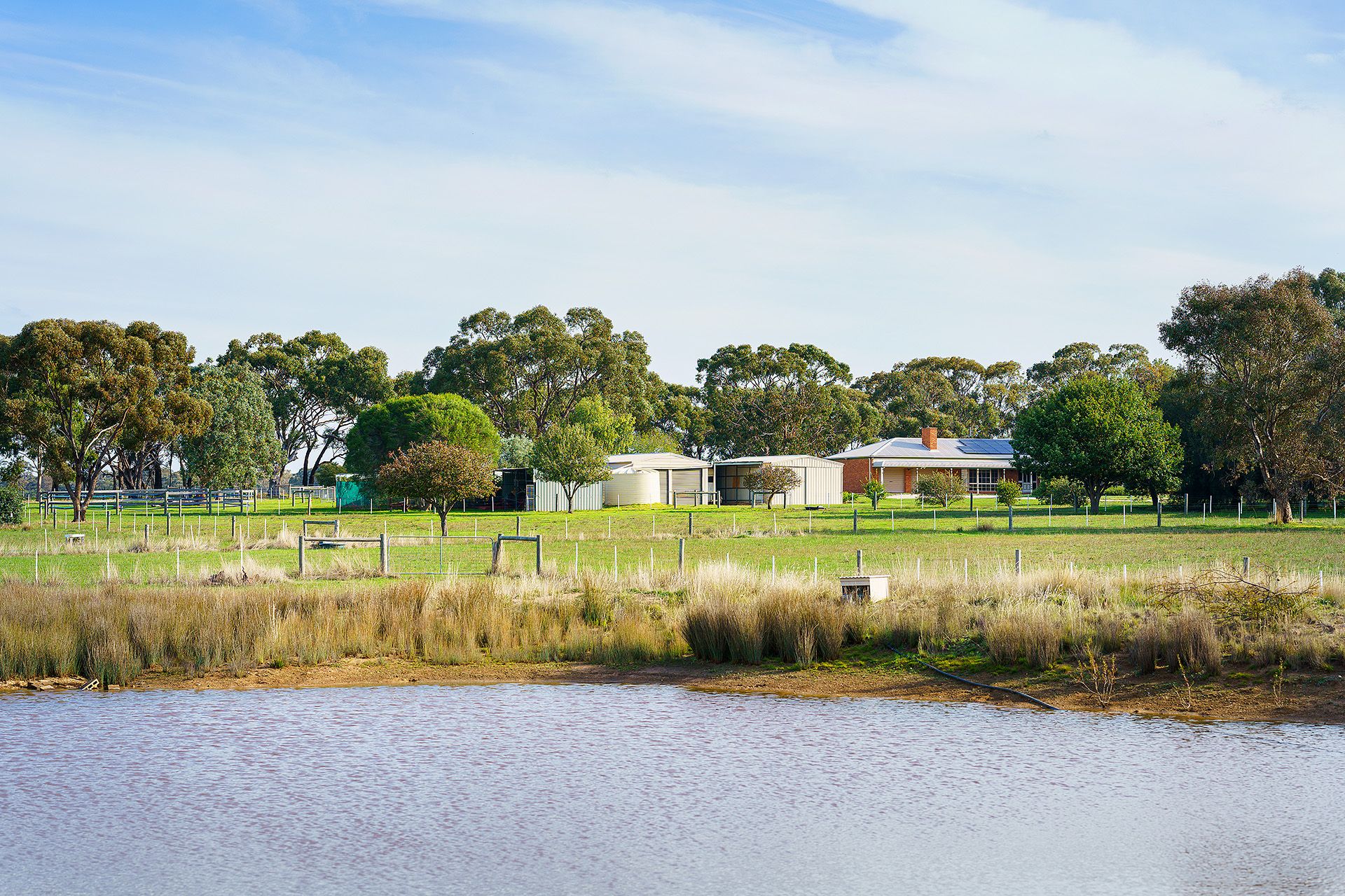 81 Ramon Parade Ravenswood, Ravenswood - Thumbnail 4