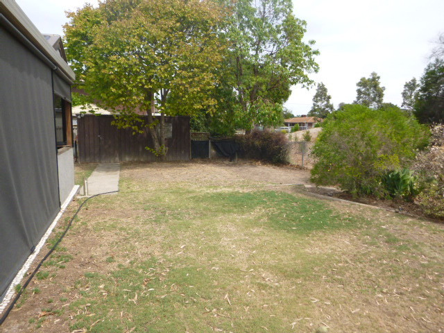 220 Trimmer Parade Grange 5022