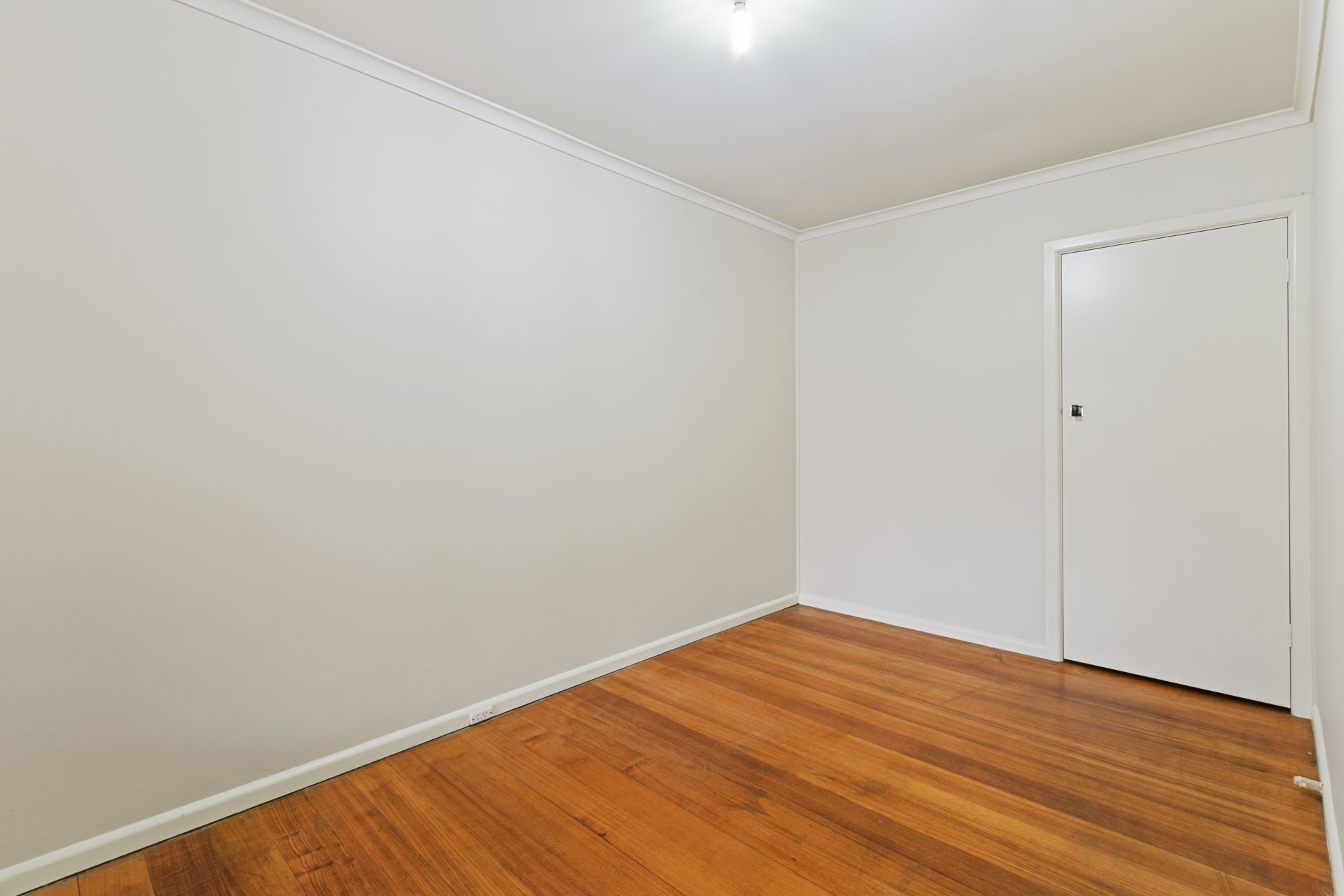 RENOVATED DELIGHT