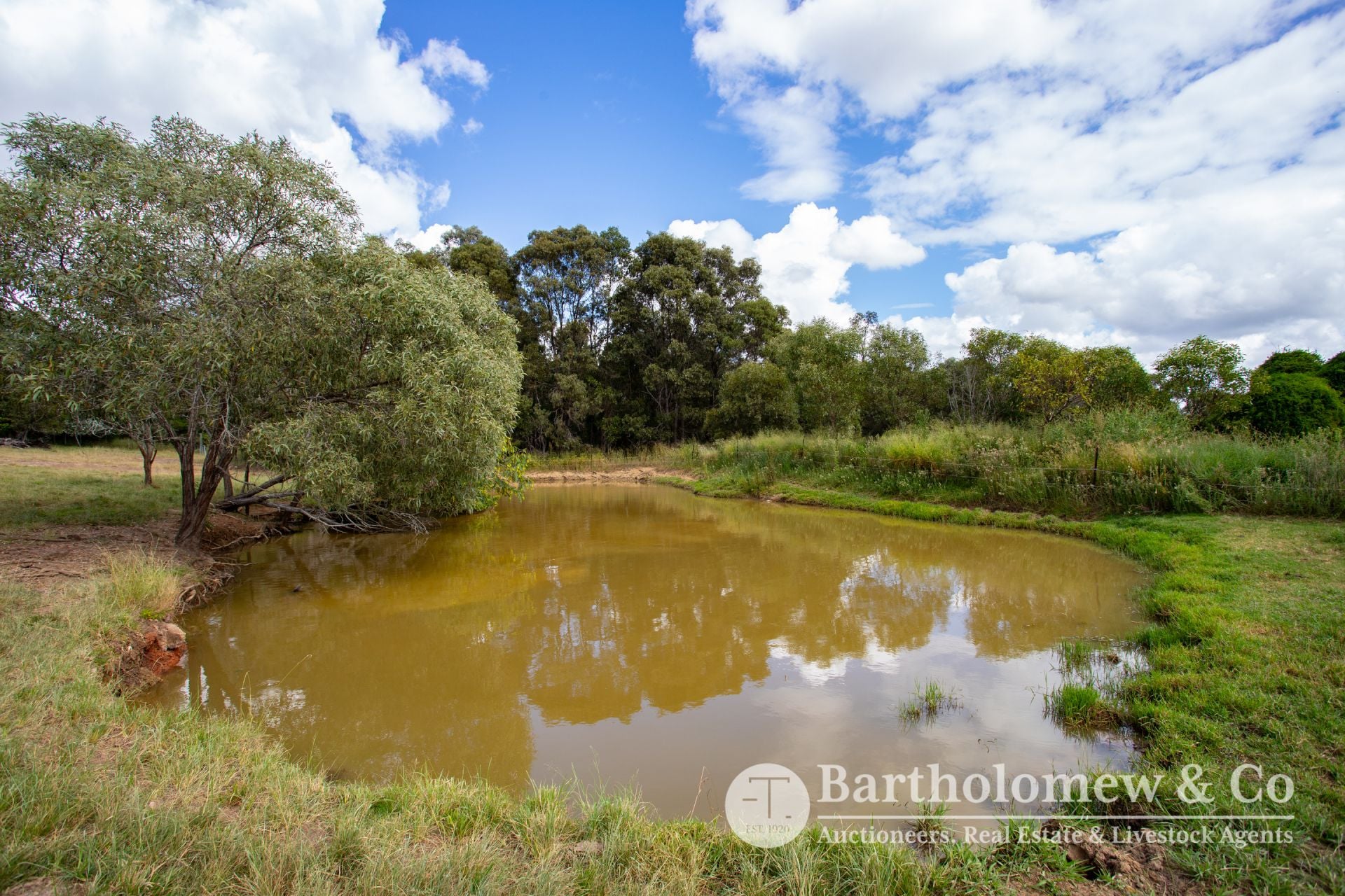 24 Robson Road Boonah QLD, Boonah - Thumbnail 3