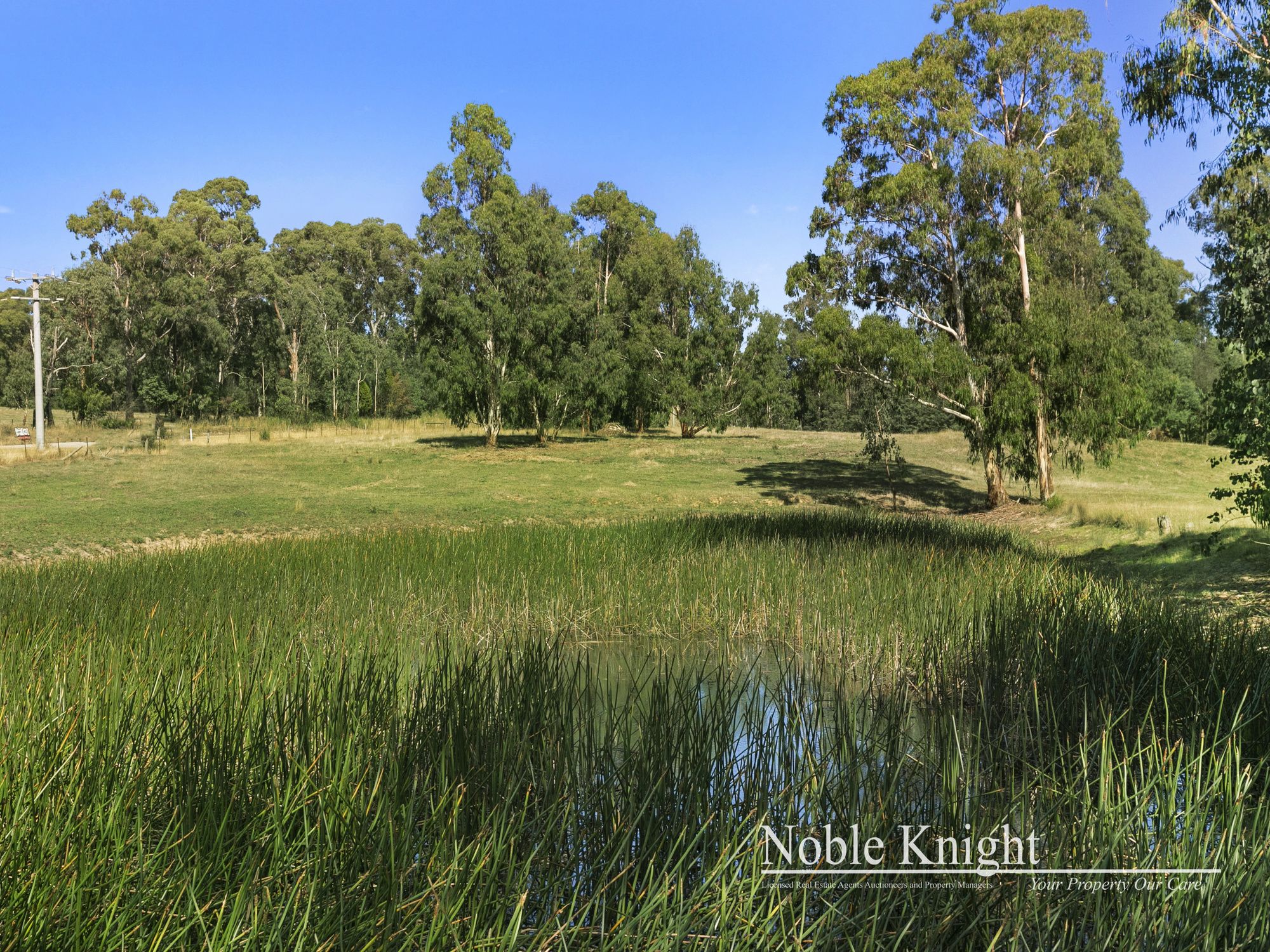 253 Wilhelmina Falls Road Murrindindi