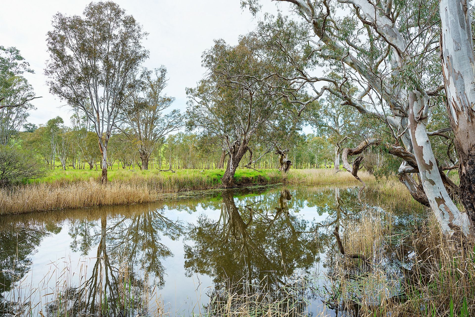 Lot 19/ Harrow-Casterton Road, Harrow VIC 3317