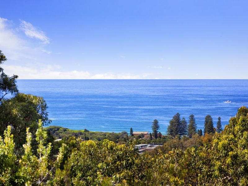 45A Chisholm Avenue AVALON NSW, Avalon - Thumbnail 4