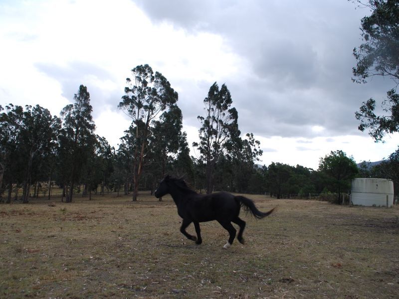 2075 Mt Darragh Road, Wyndham