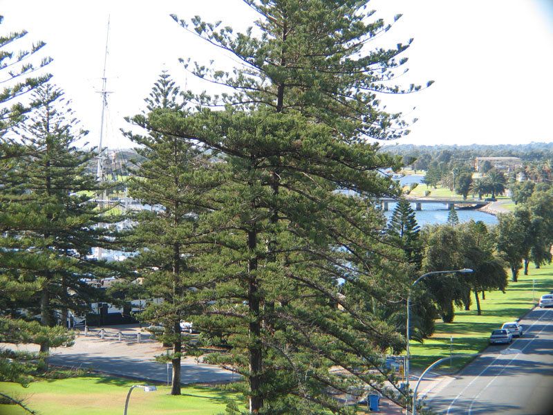53/760 Anzac Highway Glenelg 5045