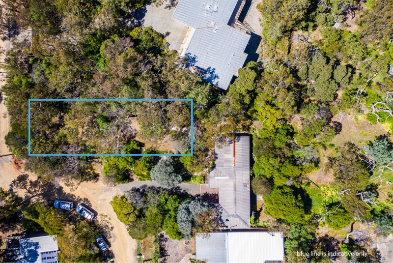 Houses to rent Anglesea Anglesea Real Estate Agents Great Ocean