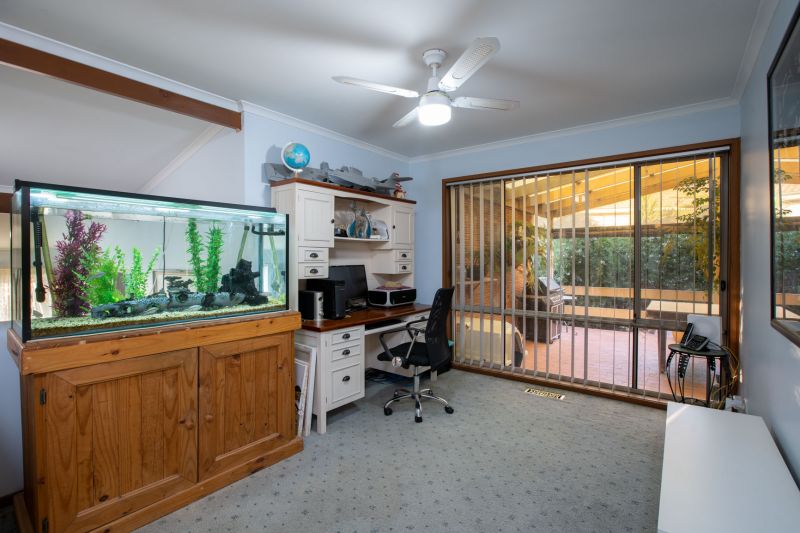 639 Pearsall Street Lavington NSW, Lavington - Thumbnail 8
