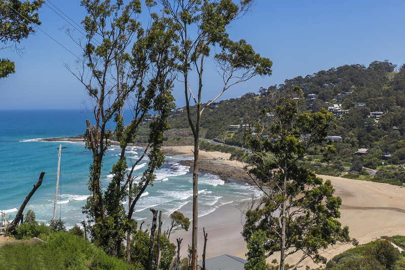 28 Durimbil Avenue, Wye River, VIC, Wye River - Thumbnail 3