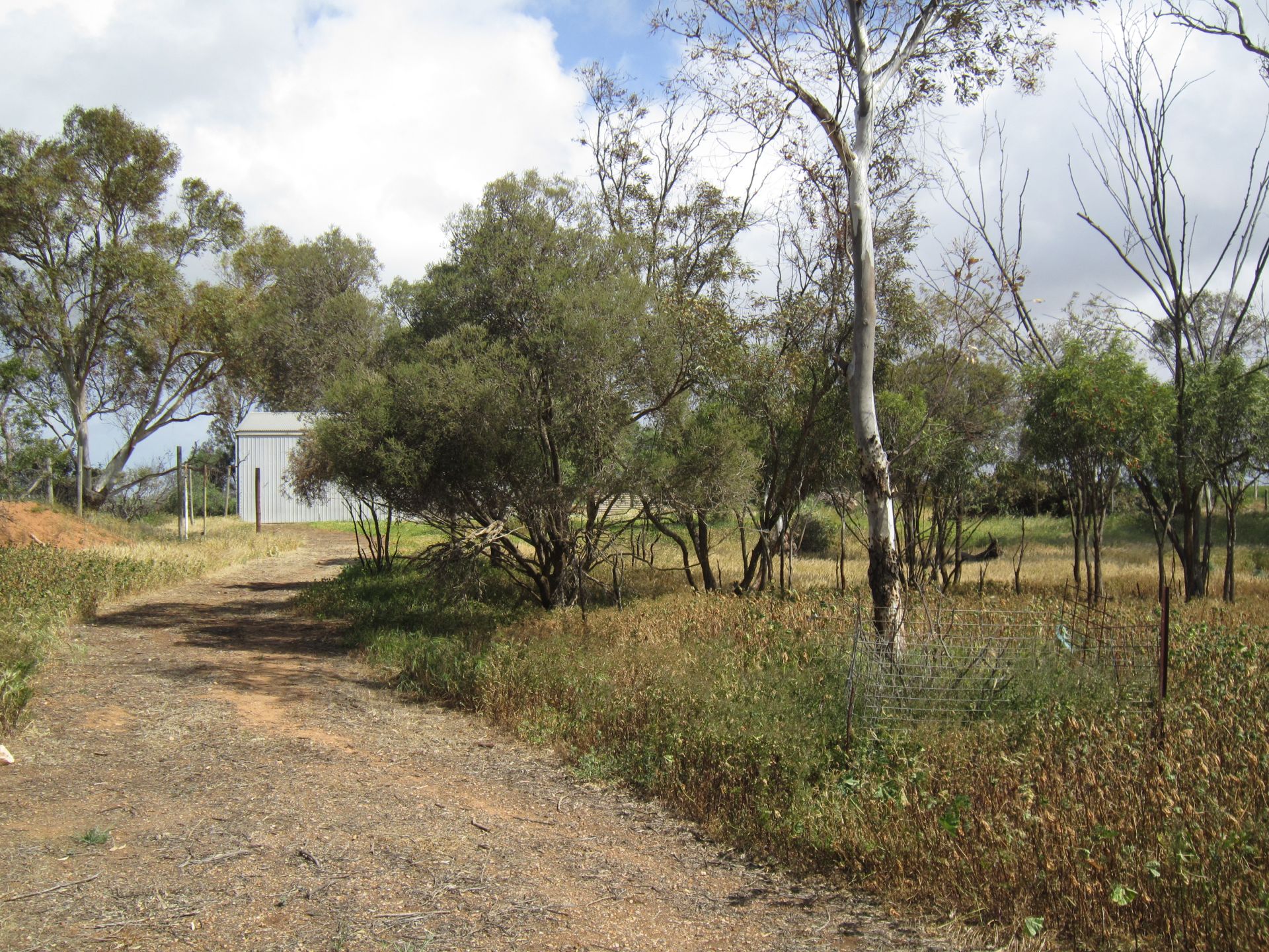 1125 Wandearah Road Wandearah East SA, Wandearah East - Thumbnail 8