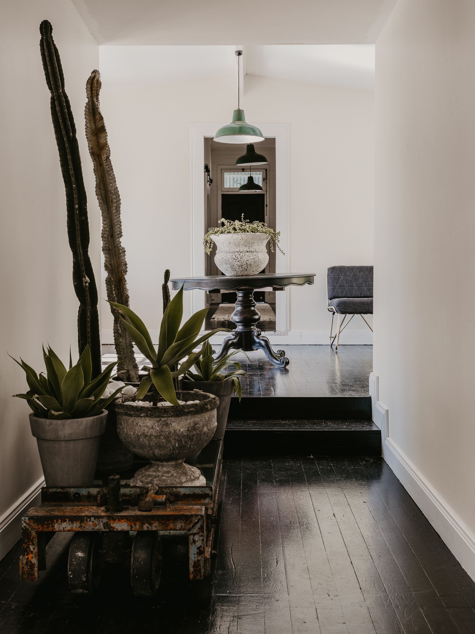 4-6 Walmer Crescent Wentworth Falls 2782