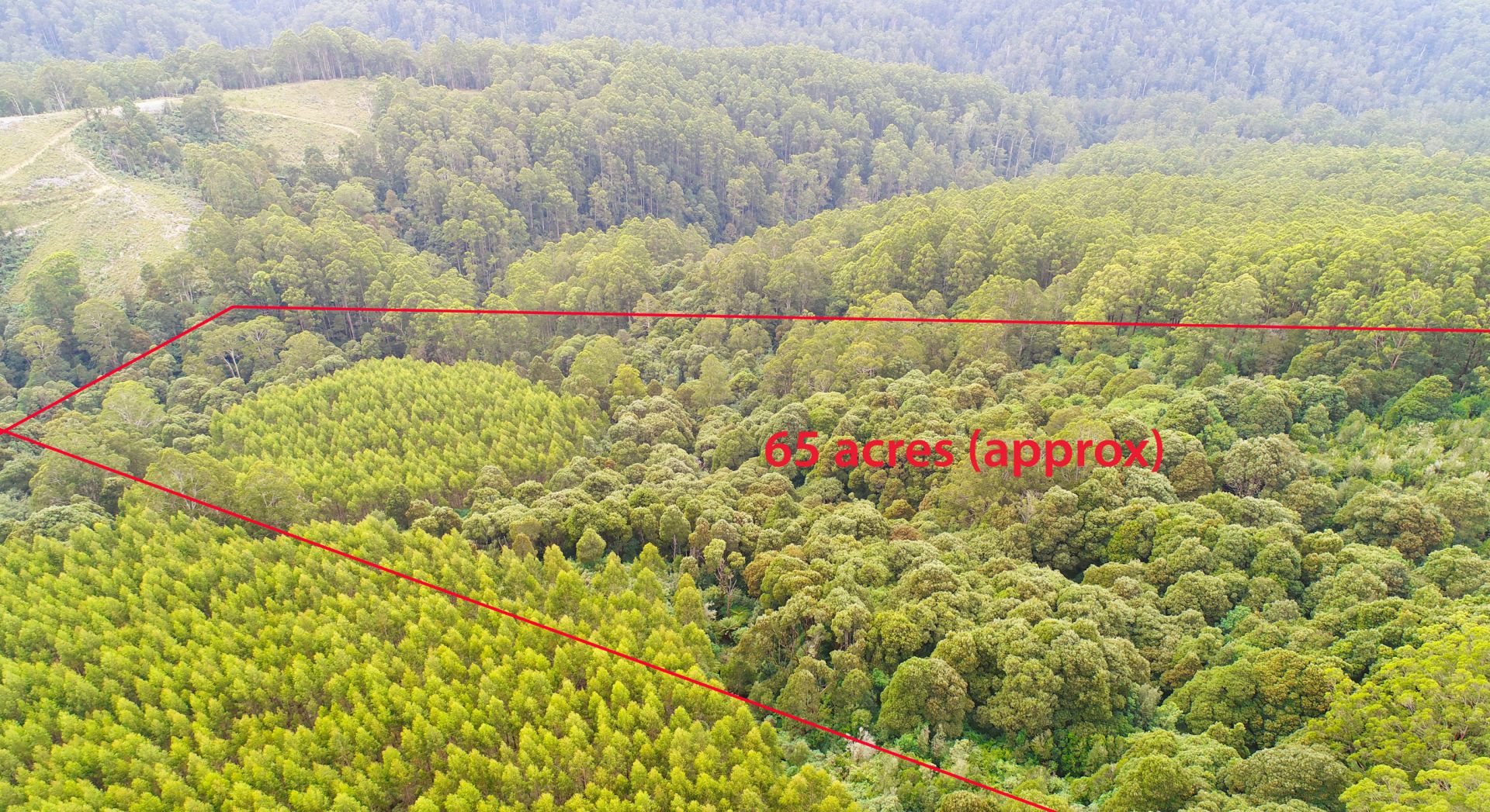 1170 Skenes Creek Road, Tanybryn - Thumbnail 5
