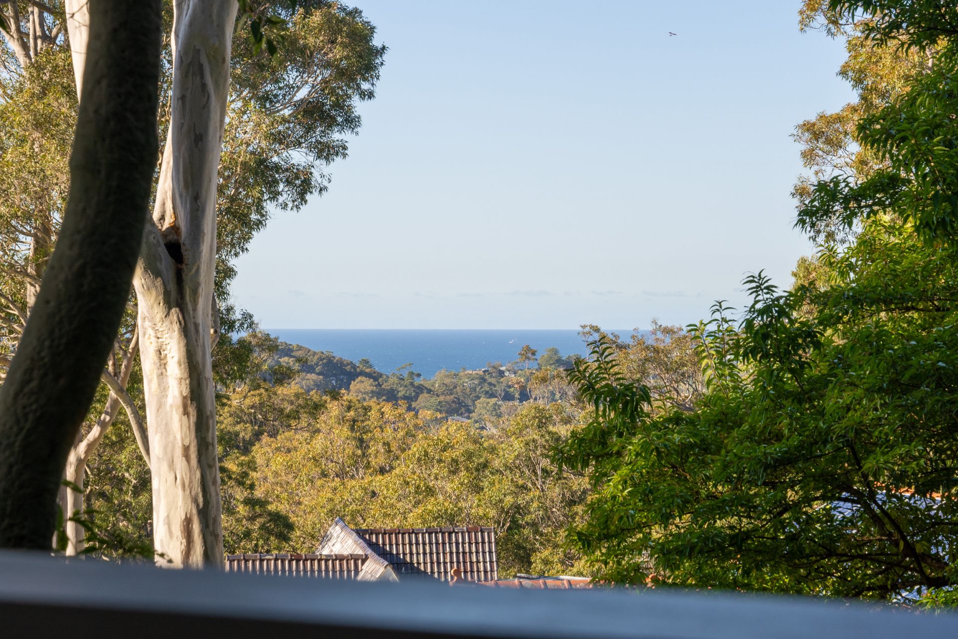 13 Wandearah Avenue Avalon Beach NSW, Avalon Beach - Thumbnail 4