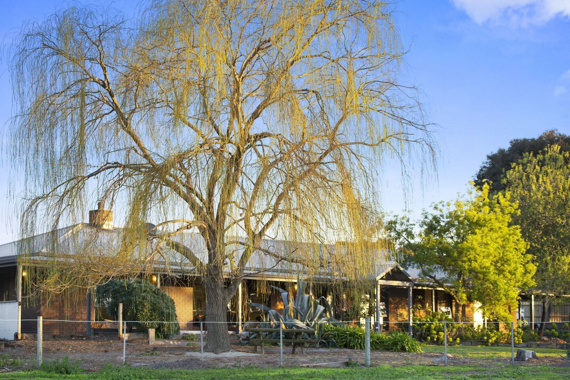 275-291 Jetty Road Drysdale VIC, Drysdale - Thumbnail 2