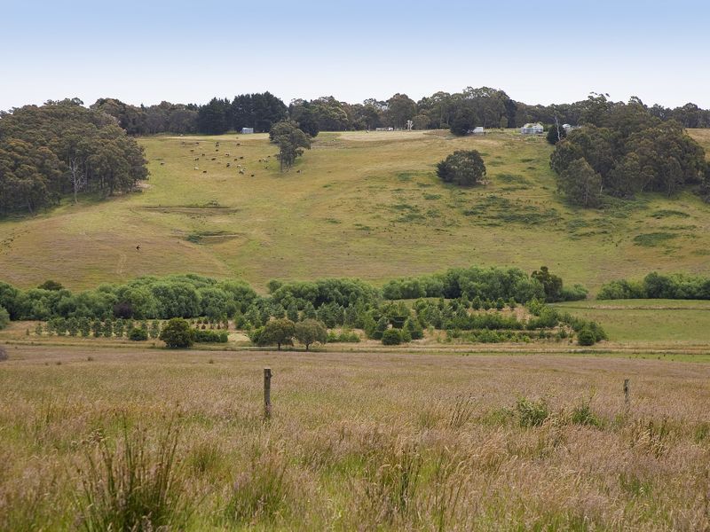 415 Pennyroyal Valley Road Pennyroyal VIC, Pennyroyal - Thumbnail 6