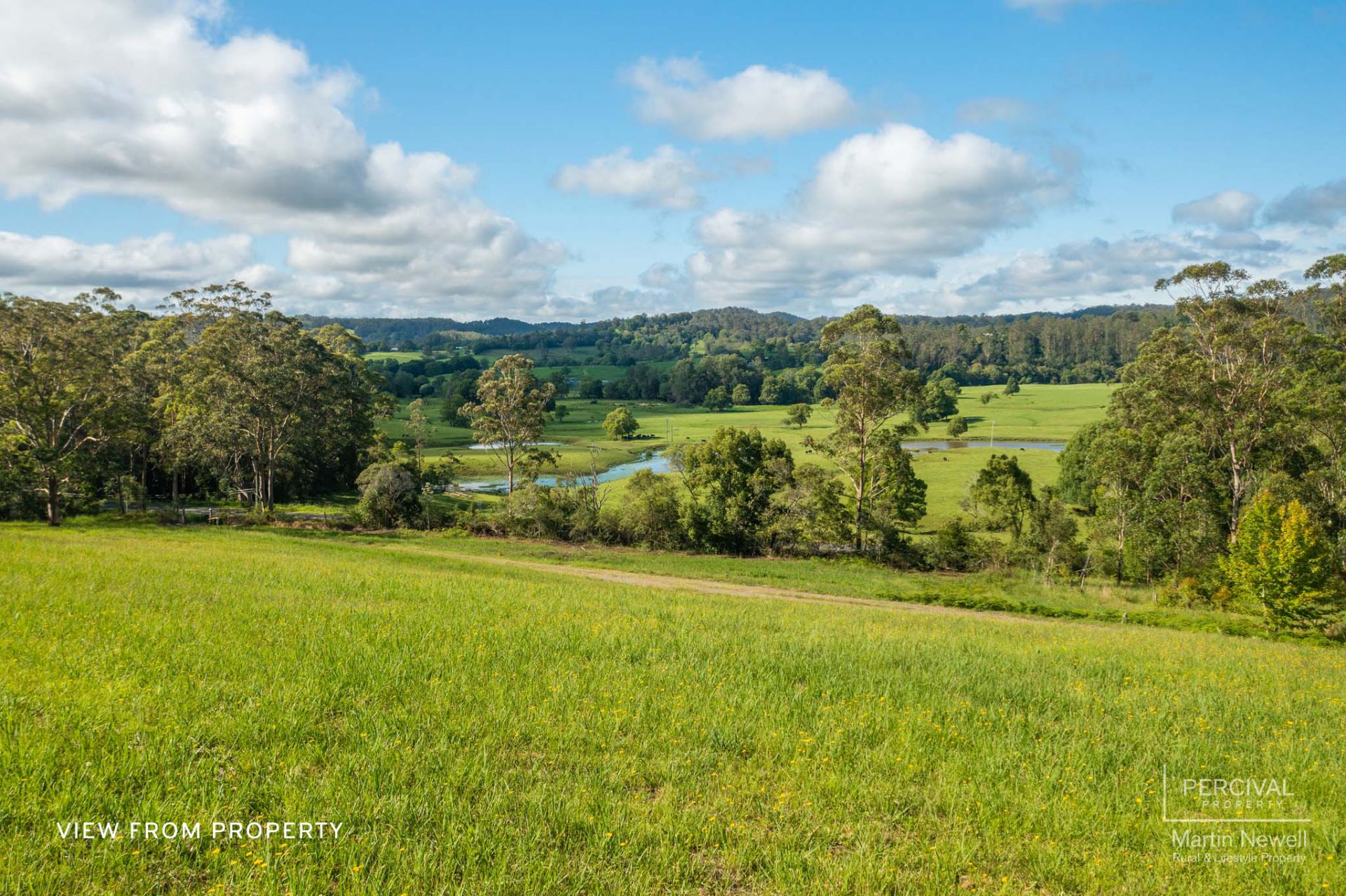 1050 Lorne Road Lorne NSW, Lorne - Thumbnail 5