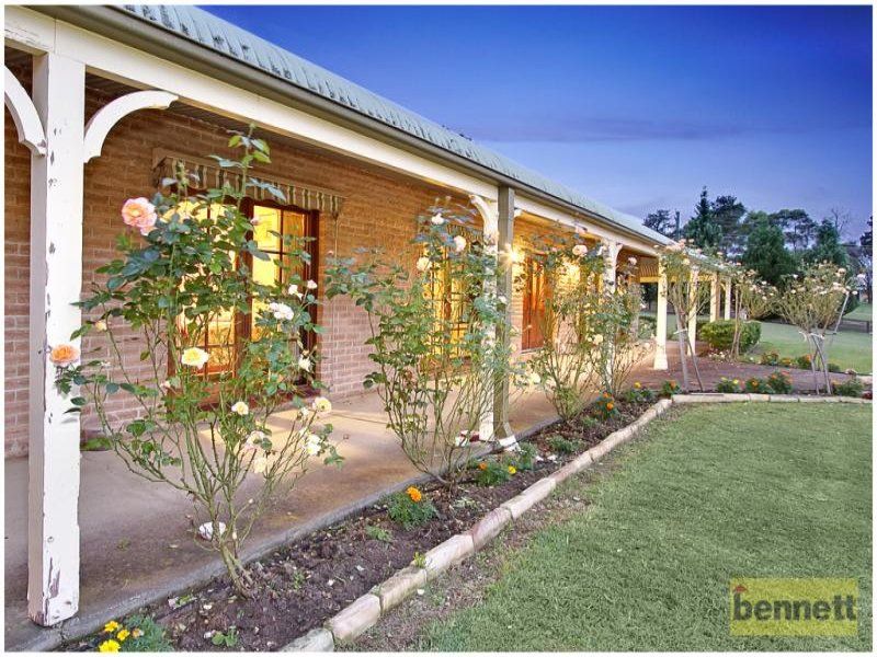 41 Jacaranda Road, Kurrajong - Thumbnail 4