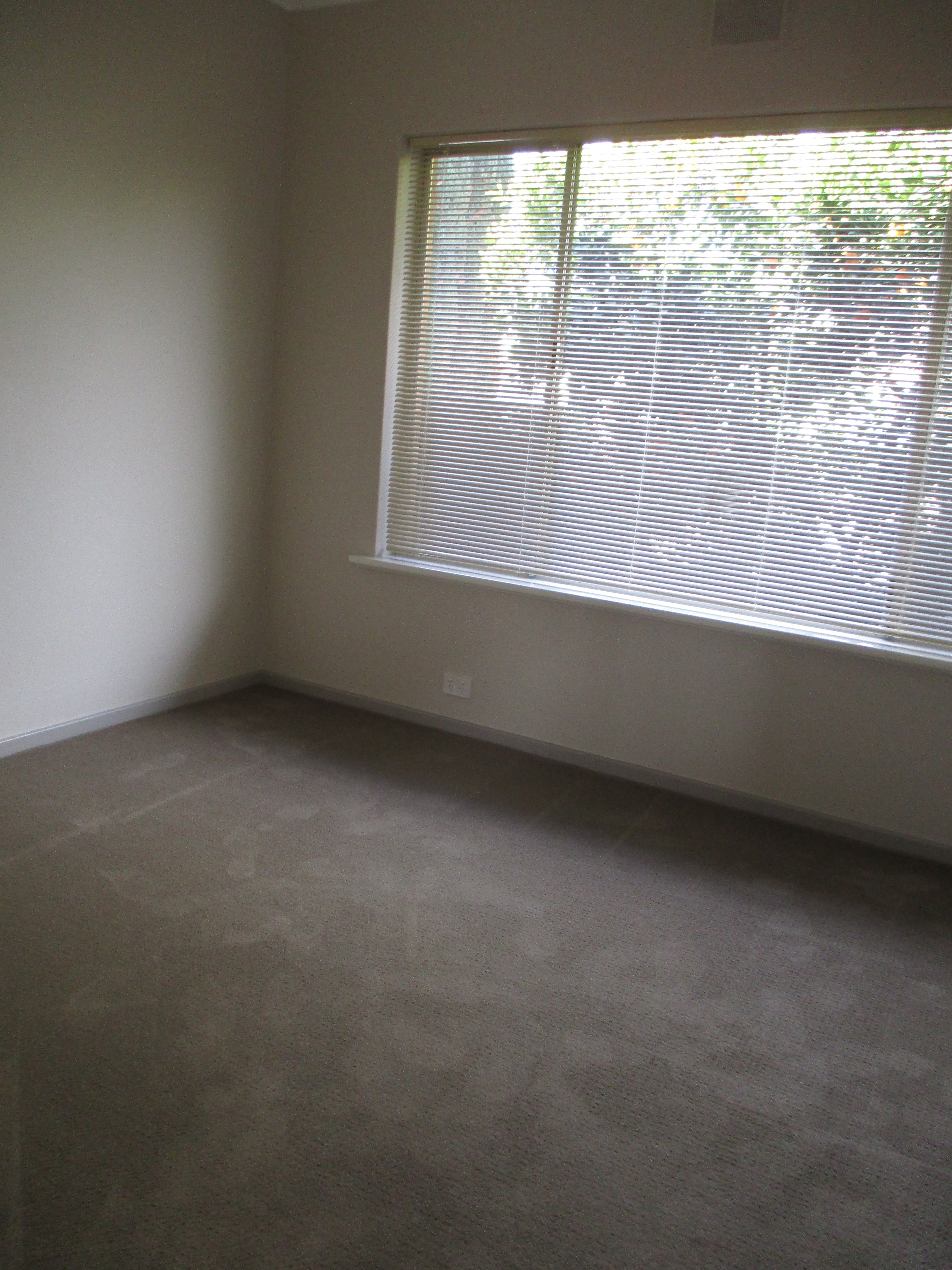 4/2 Walter Street Hyde Park 5061