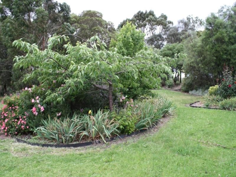 Lot 128 Ascot Way MOUNT GAMBIER SA, Mount Gambier - Thumbnail 8