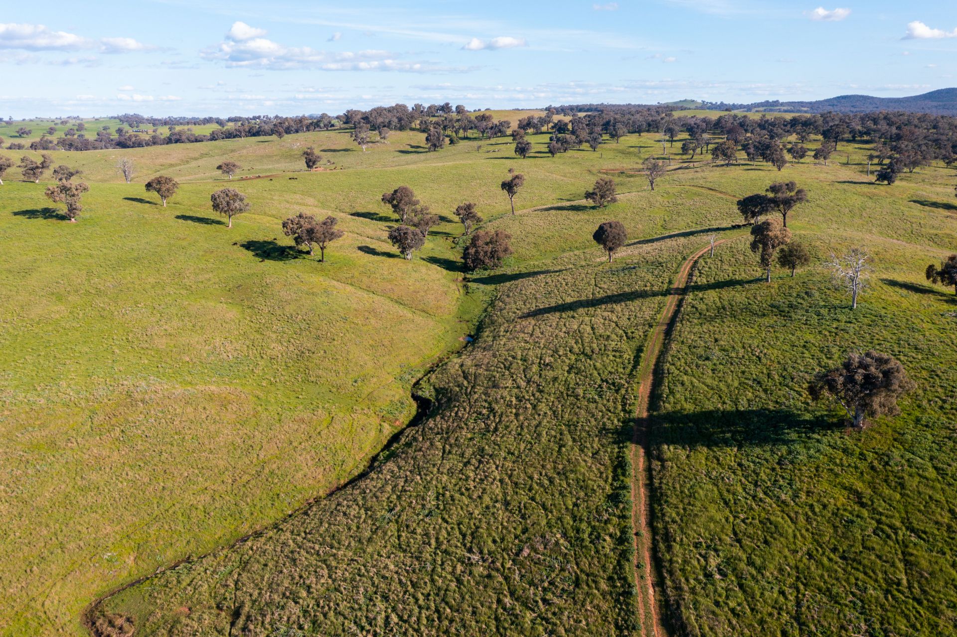 'Prospect' Sheridan Park Road, Boorowa NSW, Boorowa - Thumbnail 6