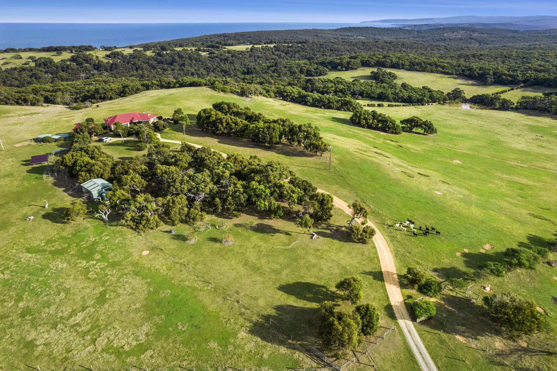 20 Point Addis Road, Bells Beach - Thumbnail 3