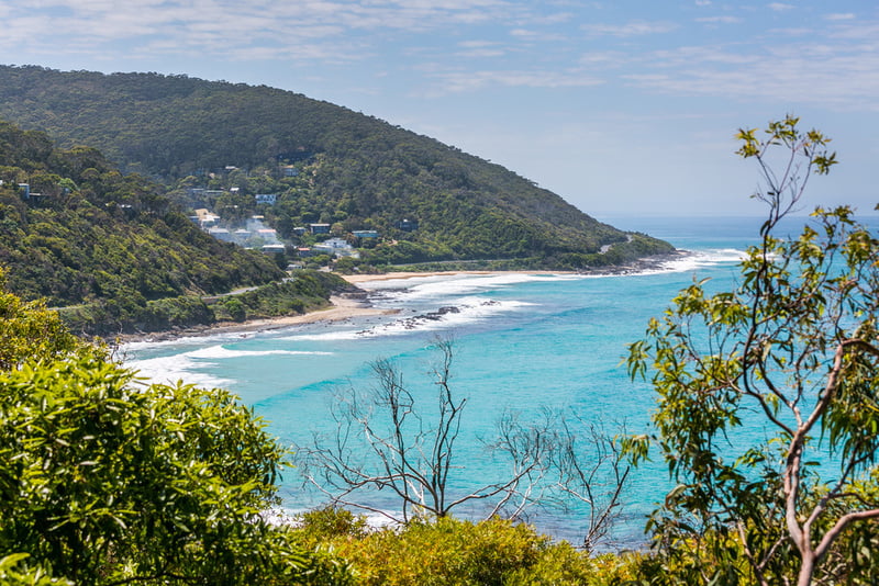 39 Morley Avenue, Wye River, VIC, Wye River - Thumbnail 4